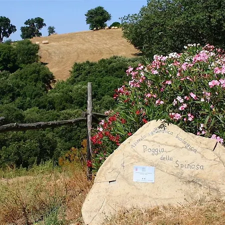 Poggio Della Spinosa *